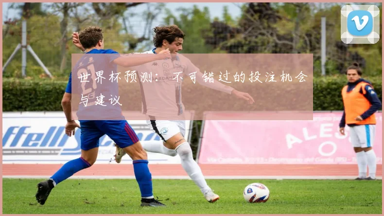 世界杯预测：不可错过的投注机会与建议