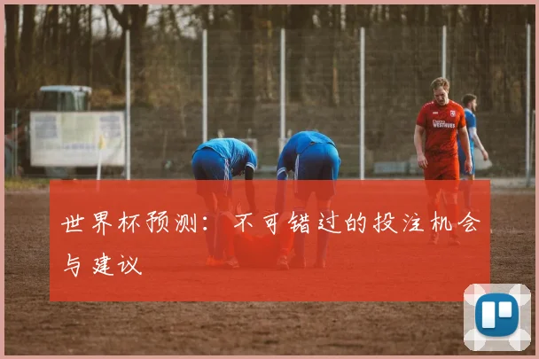 世界杯预测：不可错过的投注机会与建议