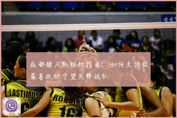成都猎人队粉丝指南：如何支持你最喜欢的守望先锋战队